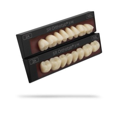 Dents artificielles pacific